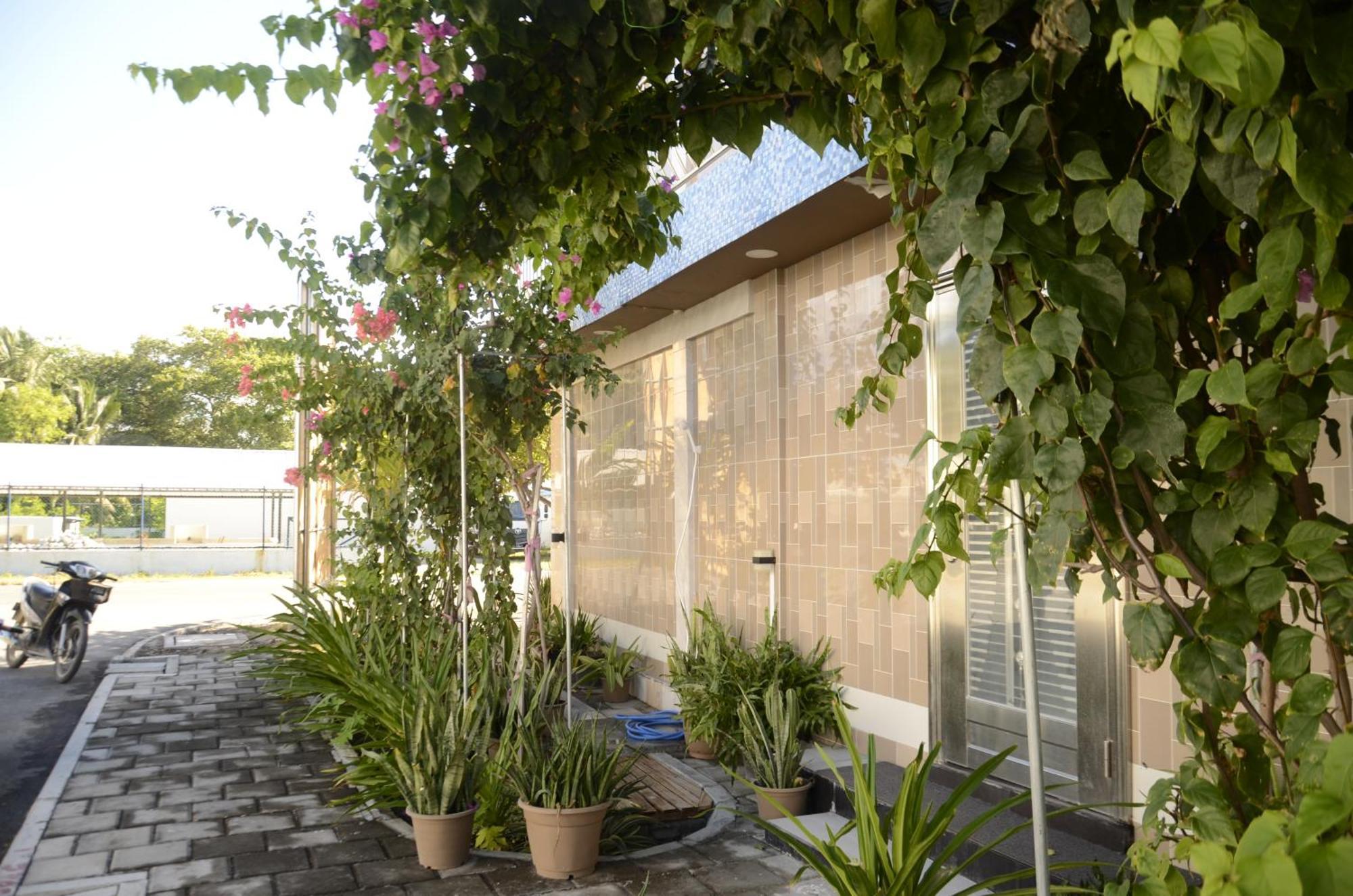 Isle Inn Guesthouse Fuvahmulah Εξωτερικό φωτογραφία